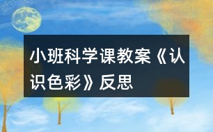 小班科學(xué)課教案《認識色彩》反思