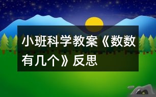 小班科學(xué)教案《數(shù)數(shù)有幾個》反思