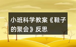 小班科學教案《鞋子的聚會》反思