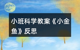 小班科學教案《小金魚》反思
