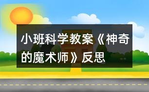 小班科學(xué)教案《神奇的魔術(shù)師》反思