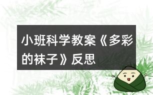 小班科學教案《多彩的襪子》反思