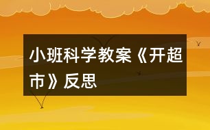 小班科學(xué)教案《開(kāi)超市》反思