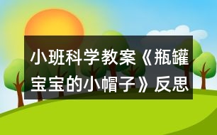 小班科學教案《瓶罐寶寶的小帽子》反思