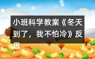 小班科學(xué)教案《冬天到了，我不怕冷》反思