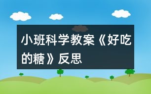小班科學教案《好吃的糖》反思