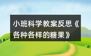 小班科學(xué)教案反思《各種各樣的糖果》