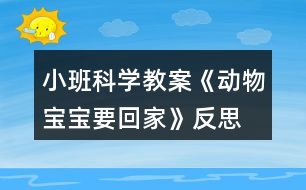 小班科學教案《動物寶寶要回家》反思