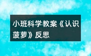 小班科學教案《認識菠蘿》反思