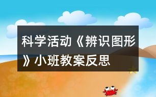 科學(xué)活動《辨識圖形》小班教案反思