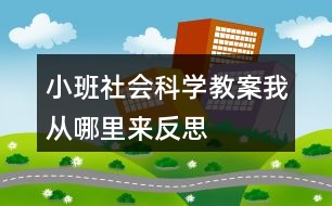 小班社會科學(xué)教案我從哪里來反思