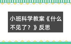 小班科學教案《什么不見了？》反思