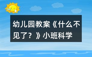 幼兒園教案《什么不見了？》小班科學(xué)