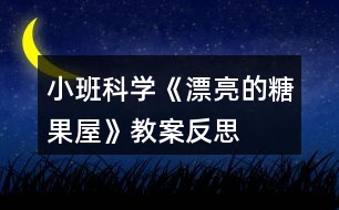小班科學《漂亮的糖果屋》教案反思