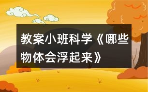 教案小班科學(xué)《哪些物體會(huì)浮起來》