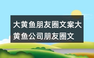 大黃魚朋友圈文案、大黃魚公司朋友圈文案32句