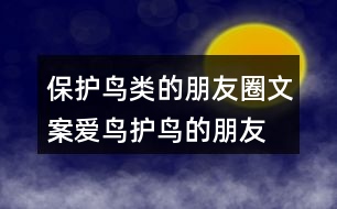 保護(hù)鳥(niǎo)類(lèi)的朋友圈文案、愛(ài)鳥(niǎo)護(hù)鳥(niǎo)的朋友圈文案36句
