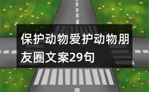 保護動物、愛護動物朋友圈文案29句