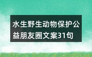 水生野生動物保護公益朋友圈文案31句