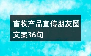 畜牧產(chǎn)品宣傳朋友圈文案36句