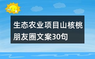 生態(tài)農(nóng)業(yè)項目山核桃朋友圈文案30句