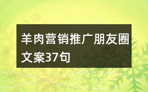 羊肉營(yíng)銷(xiāo)推廣朋友圈文案37句