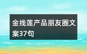 金線(xiàn)蓮產(chǎn)品朋友圈文案37句