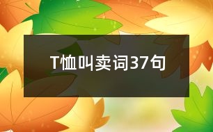 T恤叫賣詞37句