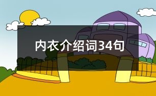 內衣介紹詞34句