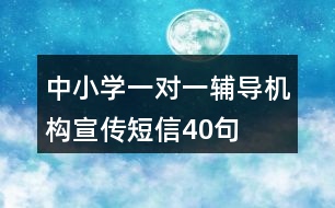 中小學(xué)一對(duì)一輔導(dǎo)機(jī)構(gòu)宣傳短信40句