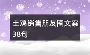 土雞銷(xiāo)售朋友圈文案38句