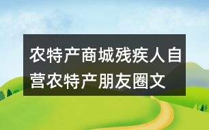 農(nóng)特產(chǎn)商城、殘疾人自營農(nóng)特產(chǎn)朋友圈文案38句
