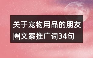 關(guān)于寵物用品的朋友圈文案、推廣詞34句
