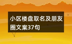 小區(qū)樓盤(pán)取名及朋友圈文案37句
