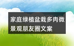 家庭綠植盆栽、多肉、微景觀朋友圈文案40句