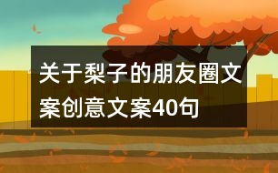關于梨子的朋友圈文案創(chuàng)意文案40句