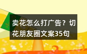 賣花怎么打廣告？切花朋友圈文案35句