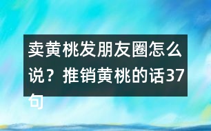 賣黃桃發(fā)朋友圈怎么說？推銷黃桃的話37句
