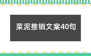 菜泥推銷文案40句
