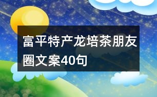 富平特產(chǎn)龍培茶朋友圈文案40句