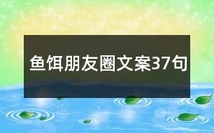 魚(yú)餌朋友圈文案37句