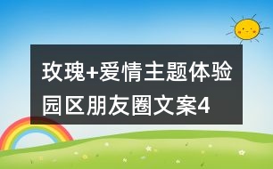 “玫瑰+愛(ài)情”主題體驗(yàn)園區(qū)朋友圈文案40句