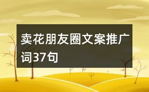 賣(mài)花朋友圈文案、推廣詞37句