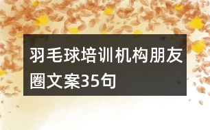羽毛球培訓機構(gòu)朋友圈文案35句