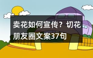賣花如何宣傳？切花朋友圈文案37句