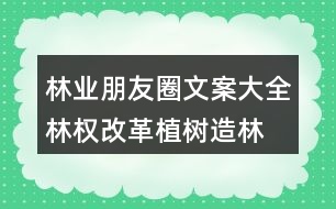 林業(yè)朋友圈文案大全：林權(quán)改革、植樹造林朋友圈文案36句