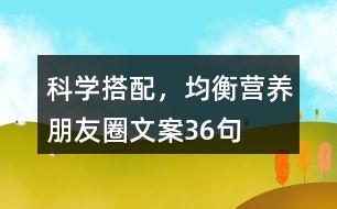 科學(xué)搭配，均衡營(yíng)養(yǎng)朋友圈文案36句