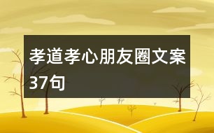 孝道、孝心朋友圈文案37句