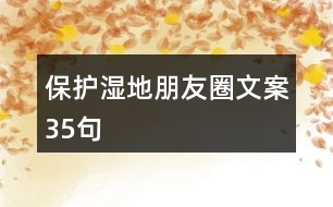 保護(hù)濕地朋友圈文案35句
