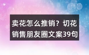 賣花怎么推銷？切花銷售朋友圈文案39句